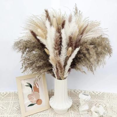 China Hot Sale 80PCS Dried Flower Pampas Boho Bouquet 2023 New Natural Cheap Dried Pampas Grass For Home Wedding Decor for sale