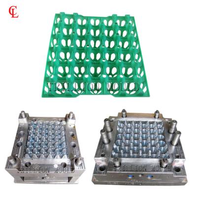 China Plastic Hot sale plastic injection egg tray molds precision quality plastic egg tray mould for sale