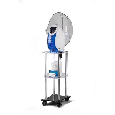 China Pigment removal SY-o2 to derm oxygen injection facial machine for skin rejuvenation and revive for sale