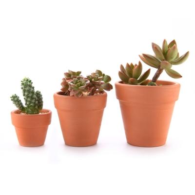 China Contemporary Fast Shipping Mini Succulent Pots For Indoor And Decorating Clay Pots For Plants for sale