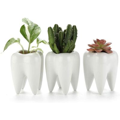 China Contemporary Perfect Gift For Dentist 3 Inch Succulent Flower Pots Cute Tooth Succulent White Ceramic Shape Pot Pots for sale