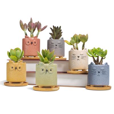 China With Drainage Hole New Design Ceramic Pot Qwl Indoor Cute Mini Succulent Pot Planter for sale