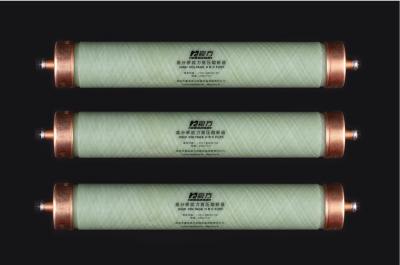 中国 XRNT4-8.3kV ELSP フューズ 電流制限バックアップフューズ 30A 53x152mm 販売のため