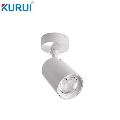 China Residential 25W , 35W Outdoor Mounted COB Led Round Adjustable Spot Downlight for sale