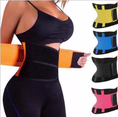 China Breathable Wholesale Quality Nylon Body Shaper For Women Sport Belt Waist Training Corset for sale