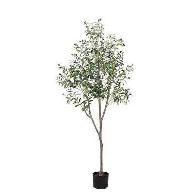 China Colors: Green Wholesale Artificial Trees For Indoor Decoration 180cm Artificial Olives For Home Office Mall Decoration Trees for sale