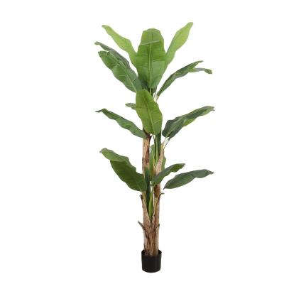 China Type: Decorative Home 210cm Potted Plant Tree Plants Indoor Green Plants Nearly Natural Artificial Potted Banana Leaf Plants Artificial Banana Tree for sale