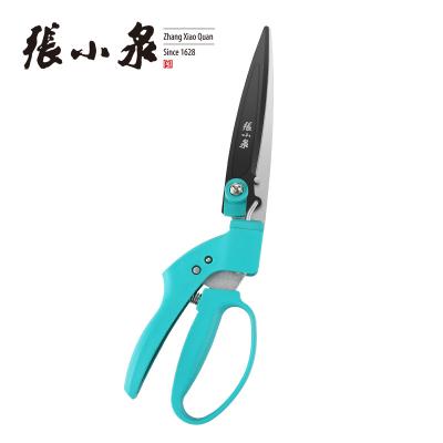 China Anti-skid Handle Zhang Xiaoquan Top End Carbon Steel 360 Degree Rotate Grass Cutting Shear Scissors for sale