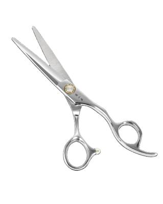 China High Quality Professional Stainless Steel Thinning Scissors Barber Hair Cutting Scissor for sale