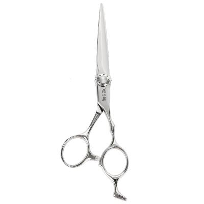 China High Quality Professional Beauty Thinning Scissors Stainless Steel Salon Barber Scissors for sale