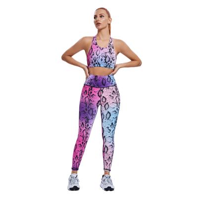 China Breathable Customize Wholesale Fitness Sport Yoga Bra Sets Yoga Pants Gym Workout Sport Printed Snakeskin Women Leggings Set for sale