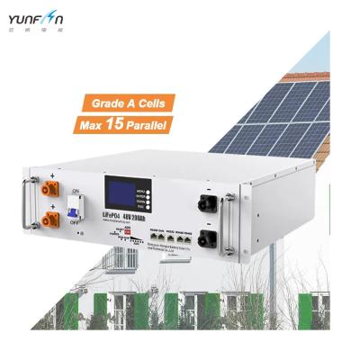 China LiFePo4 Rack Mounted Lithium Battery Pack 48V 51.2V 6000 Cycles Life Compatible CAN for sale