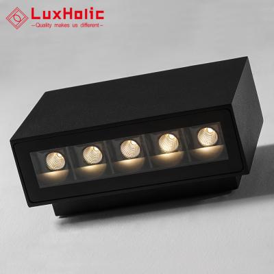 China LuxHolic Exterior Wall Light Modern Waterproof Black IP65 10W Aluminum Through Lighting Bracket LED Outdoor Wall Lights for sale