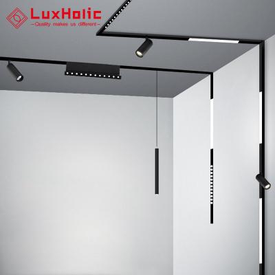 China LuxHolic Modern Stylish Decorative Recessed Profile Spot Lighting 24V 48V 9 Watt Low Hanging Magnetic Supermarket Track Light for sale