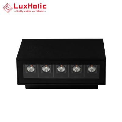 China LuxHolic IP65 Outdoor Wall Light Waterproof Wall Light Black Aluminum 10W Through The Double Head Lighting Modern Outdoor LED Wall Light for sale