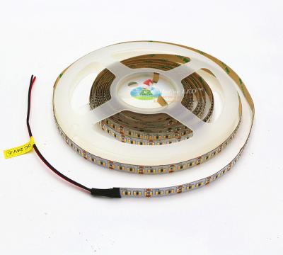 China Garden 24 Volt Led Strip Lighting High Quality for sale