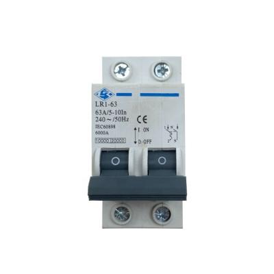 China L&R 2P 63A 240V 50Hz Widely High Cutoff MCB Circuit Breaker for sale