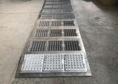 China 30 Eggs Pulp Mold S416 Egg Tray Mold 1000000 Shots Easy Install for sale