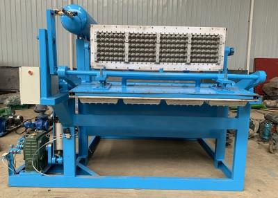 China Wongs CE 800 Piece Paper Pulp Egg Tray Making Machine 3000kg for sale