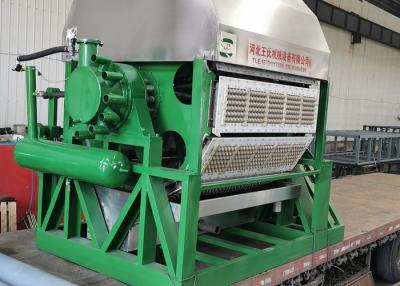 China Automatic 6*8 Rotary Egg Tray Dryer 130kw Egg Tray Machine With Dryer for sale