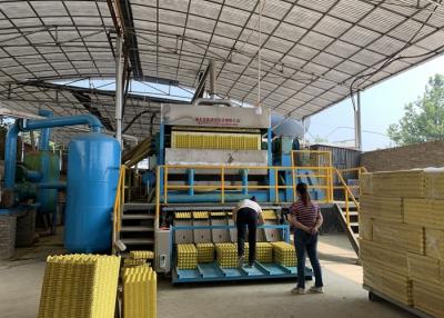 China Paper Pulp 6 Layers Egg Tray Dryer Machine 100kw Natural Gas Drying for sale