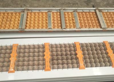 China Europe Recycling Waste 12holes Paper Egg Tray Making Machine for sale