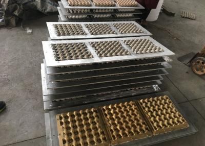 China HASCO Pulp Injection Molding 30 Eggs Cold Runner Plastic Egg Tray for sale