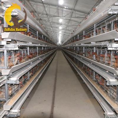 China Commercial Chicken Feeding Jinmuren Fully Automatic High Productivity Battery Chicken Cages For 50000 Layers Poultry Project for sale