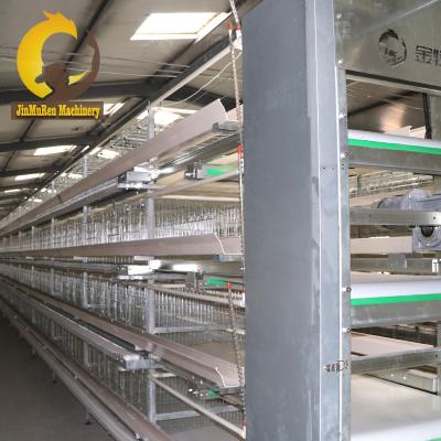 China Commercial Chicken Feeding Jinmuren Poultry Farm Automatic Chicken Battery Cage Chicken Layer Cage Equipment for sale