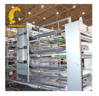 China Jinmuren Fully Automatic Poultry Raising Equipment For Layer / Hen / Pullet Chickens Cage Equipment for sale