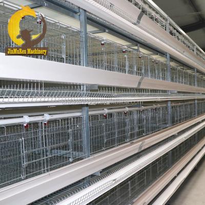 China Commercial Chicken Feeding Jinmuren H Type Layer Chicken Cage Feeding 30 000 Project Customer For Choosing for sale