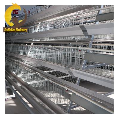 China Commercial Chicken Feeding Jinmuren A Type Layer Chicken Cage Equipment For Feeding 5000 Chickens Project for sale