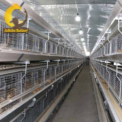 China Commercial Chicken Feeding Jinmuren Automatic Poultry Cage Equipment For Broiler Breeding Project In Middle East for sale