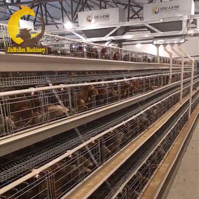 China High Quality Low Cost Short Term Profit Jinmuren Battery Broiler Cage System In Royal Farm Saudi Arabia for sale