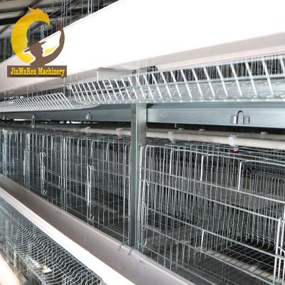 China Commercial Chicken Feeding Jinmuren Chicken Farm Supplies Day-Old Chick Cages for sale