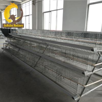 China Jinmuren's Self-Produced Baby Chick Cages Baby Chick Cage Brooder Cage Equipment One Day Farming Equipment for sale