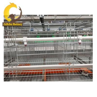 China Commercial Chicken Feeding In Jinmuren Automatic Drinking System Used For Poultry Equipment Chick Cages Baby Cage One Day Project for sale