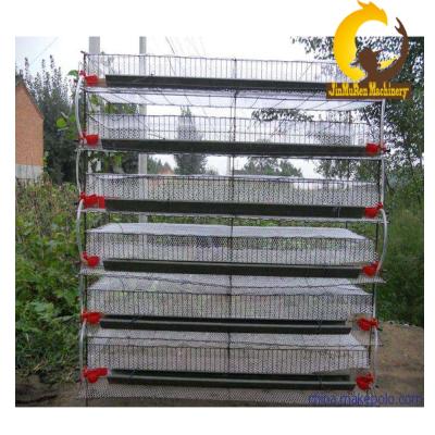 China Automatic Design Best Price Galvanized Quail Cage For Poultry Equipment for sale