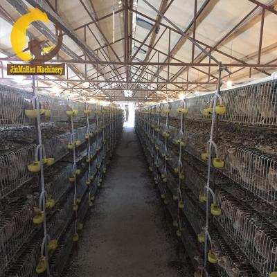 China Easily Clean 6 Layers Galvanized Wire Quail Farming Cage for sale