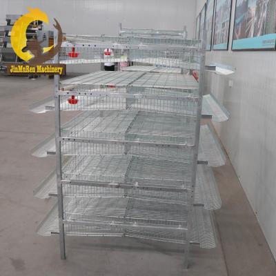 China Quail Farming Equipment Galvanized Quail Farming Equipment For Sale for sale