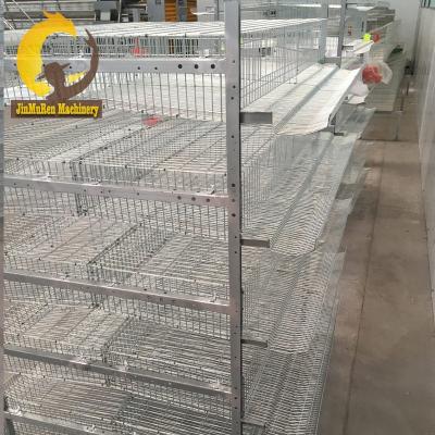 China Durable And Easily Automatic Restall Jinmuren Quail Cage And Quail Farm Equipment for sale