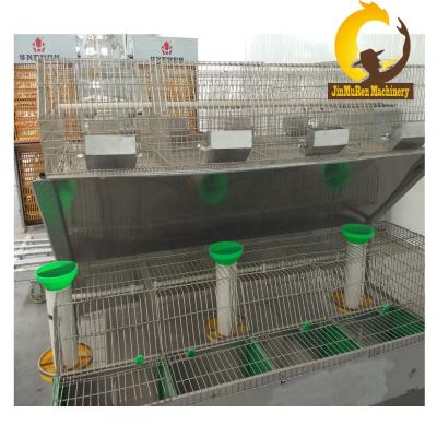 China Easy Operate Durable Metal Rabbit Breeding Cages For Animal Farm Equipment for sale