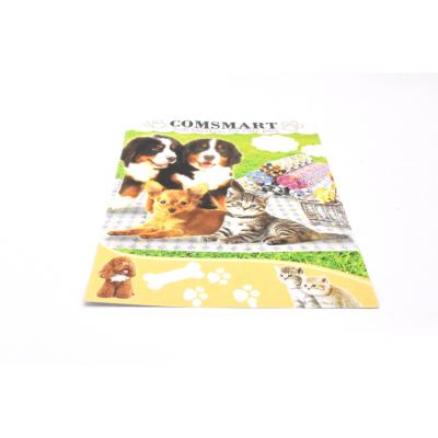 China Product Introduction High Quality Custom Pet Cover Instruction Card for sale