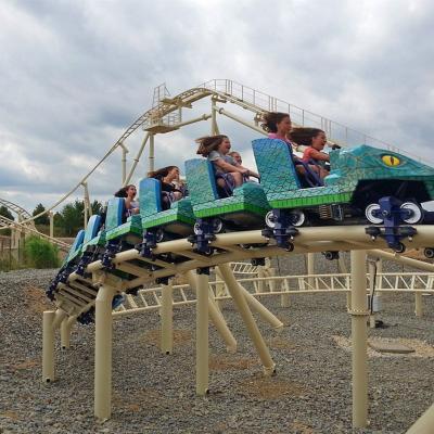 China Amusement Park Rides Steel Roller Coaster for sale