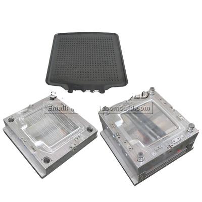 China Plastic Custom Plastic Injection Mold Disposable Tray, Plastic Food Tray Mold for sale