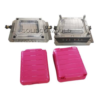 China Plastic Luggage Box Injection Luggage Box Mold for sale