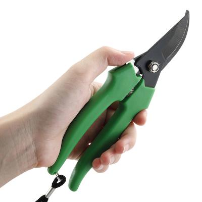 China Garden Pruning Seacreating Garden Hand Pruner Shears with Curved Coated Stainless Steel Blades Tree Pruning Scissors for sale