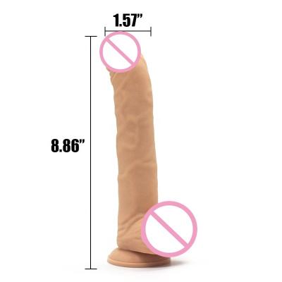 China Odorless Just Like Real Skin 9 Inch Plastic Dog Monster Penis Dildo With Big Cock for sale