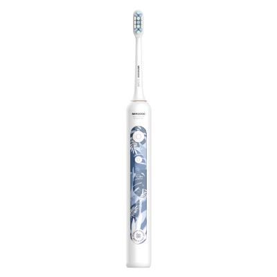 中国 SONIC Electric Toothbrush Adult Waterproof Toothbrush Head Electric Toothbrush 販売のため