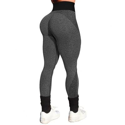 China BEIJIMAGE Viable Wholesale Gym Legging Waist Yoga Gaiters High Ribbed Plus Size Legging BK359 for sale